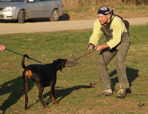 Training in Prague 3/2007